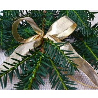 Outdoor-Schleife, gold-hochglänzend - mit Drahtkante - 2-flüglig Outdoor-Schleife, gold-hochglänzend - mit Drahtkante - 2-flüglig