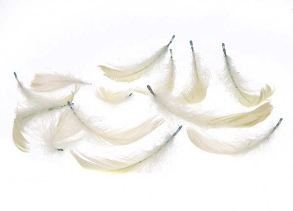 Bastel-Deko FEDERN: ca. 270 Stck = 15g - weiss